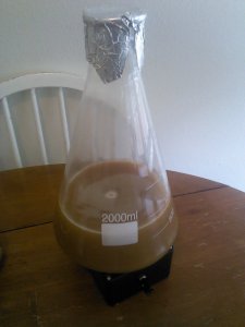 Yeast starter made with pale DME